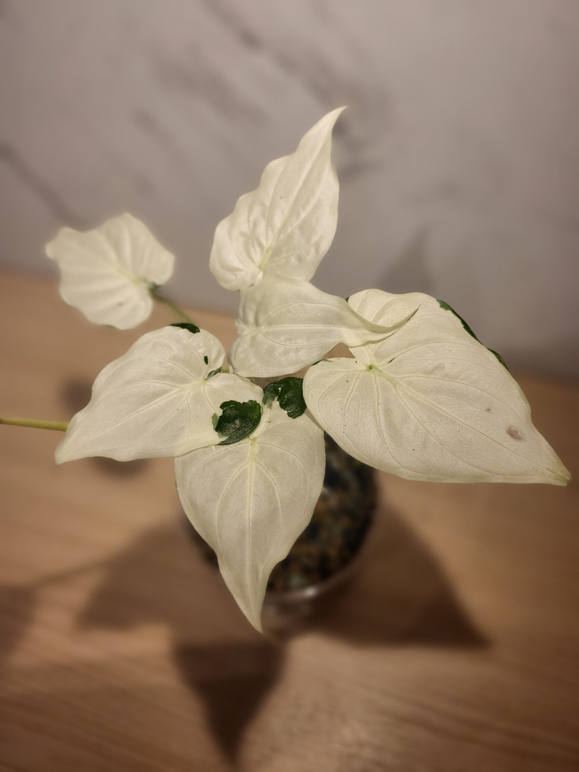 About 20251011 173538