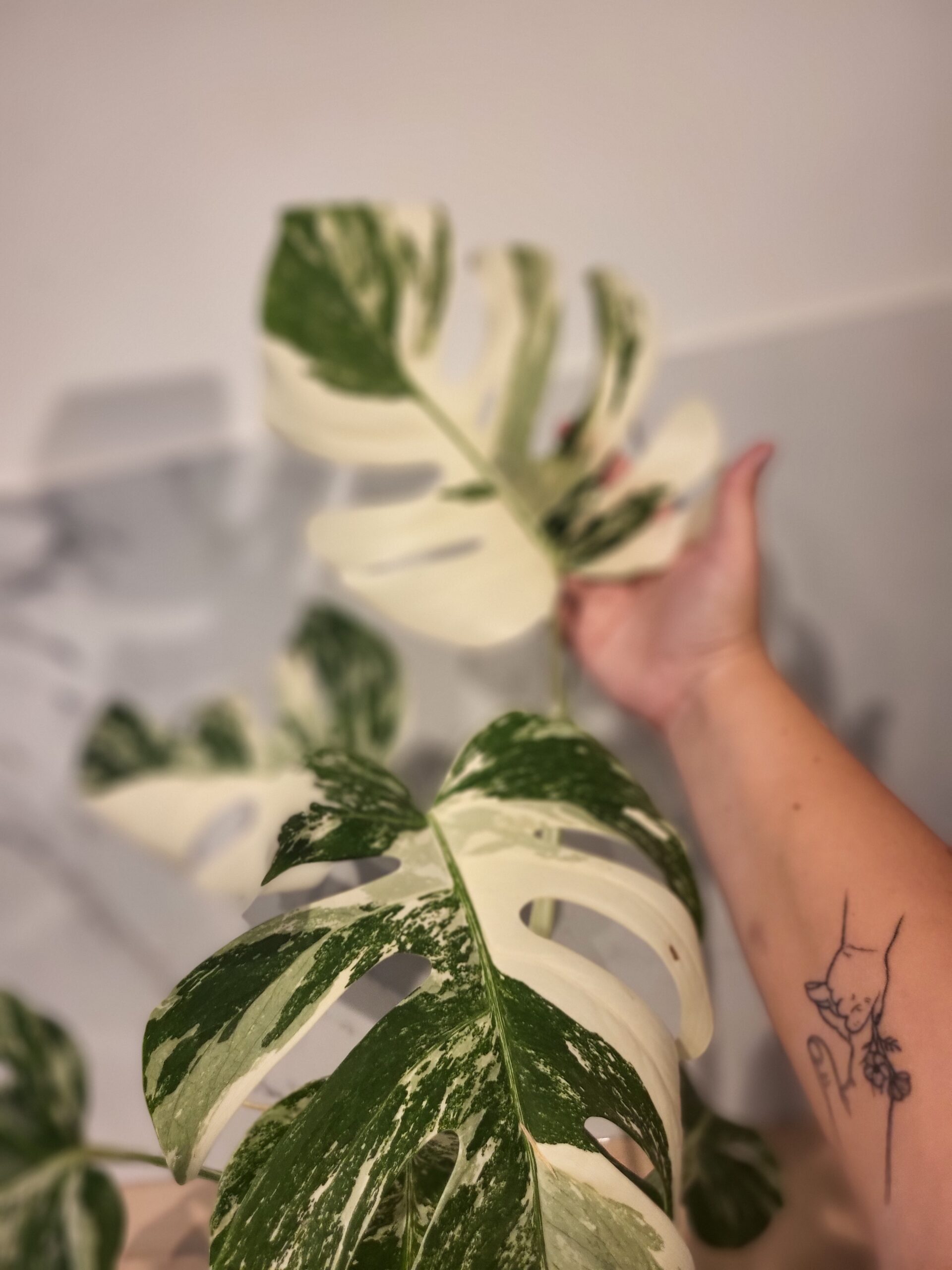 About 20251011 173709