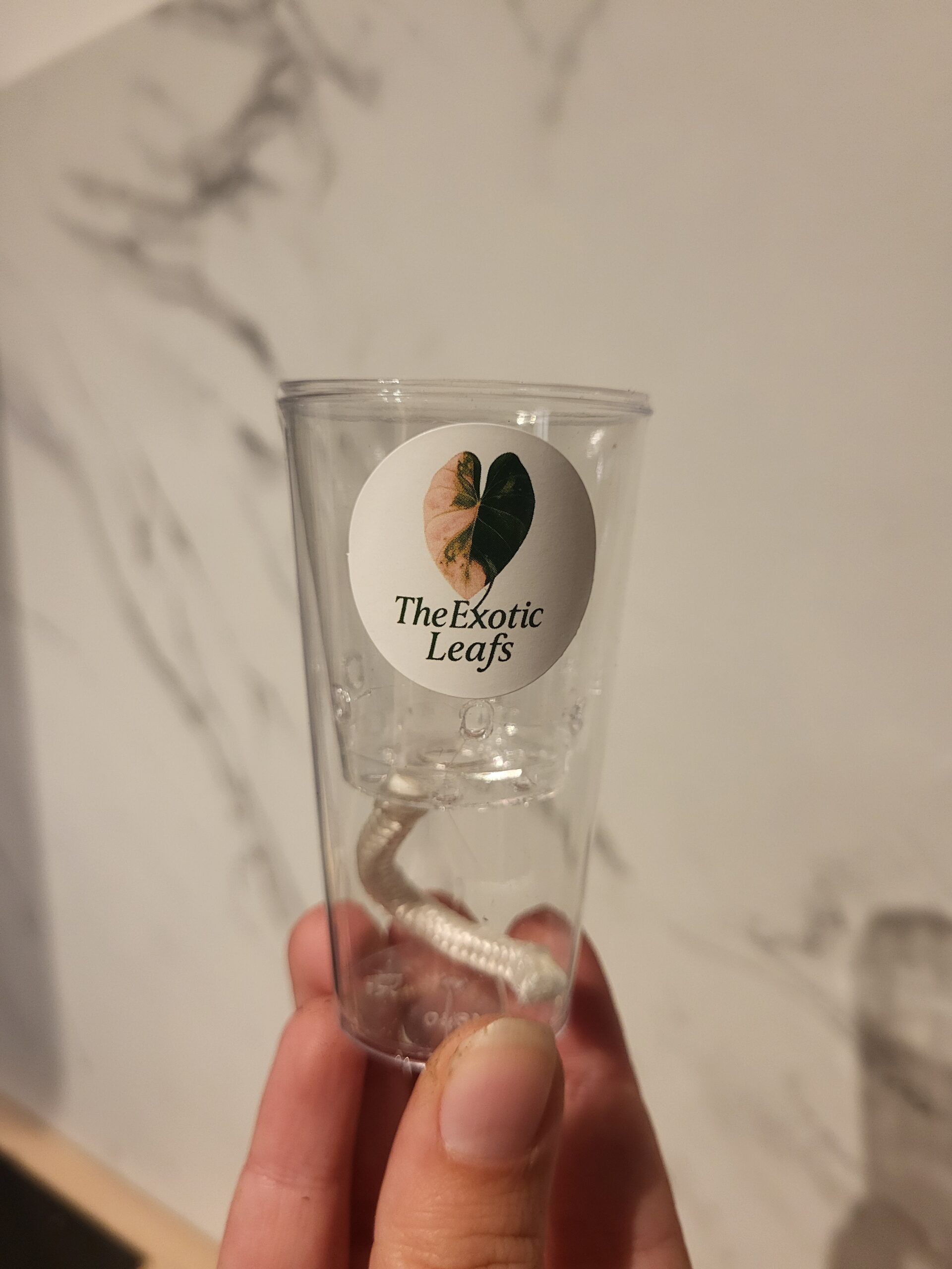 About 20251011 205335