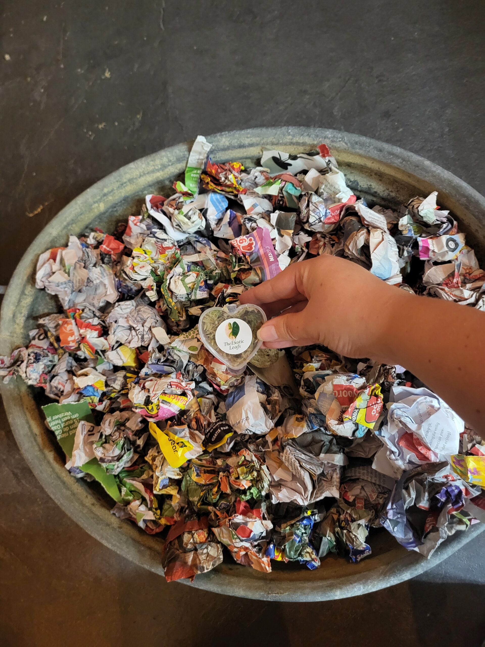 About 20251011 213912