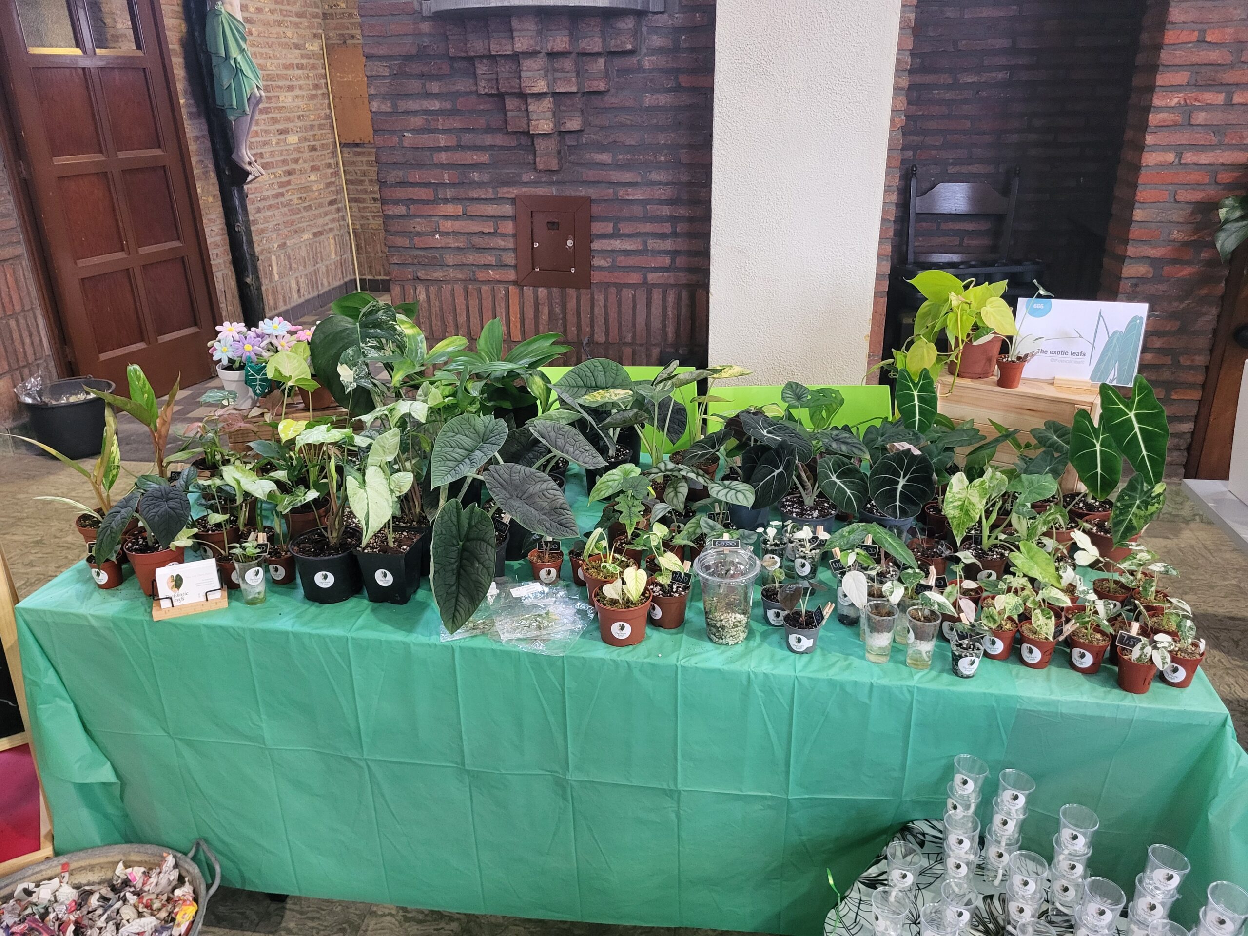 About 20251012 105743